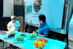 Proveedor-frutas-verduras-premium-Queretaro-4