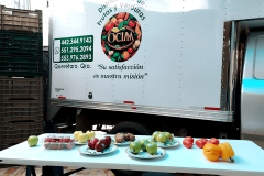 Proveedor-frutas-verduras-premium-Queretaro-6