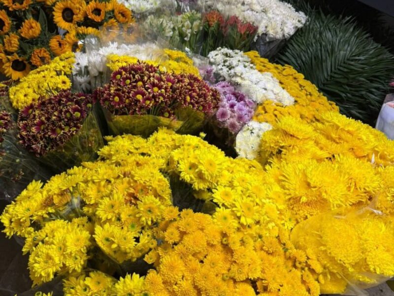 Accyflor - Puerto Vallarta