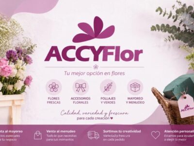Accyflor - Villa Guerrero