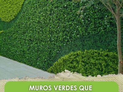BeEverGreen