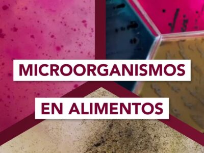 Laboratorios Becar