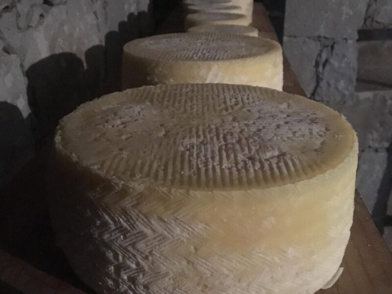 Productores Queretanos de Queso