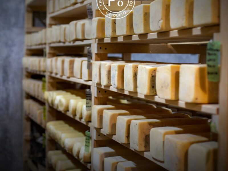 Productores Queretanos de Queso