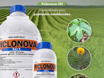 Agro Caminante