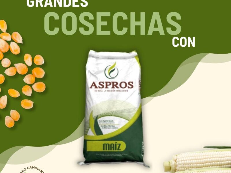 Agro Caminante