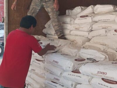 Comercializadora de semillas Campo Verde