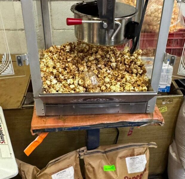 Comercializadora de semillas Campo Verde