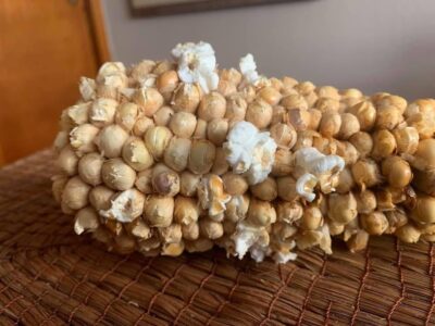Comercializadora de semillas Campo Verde