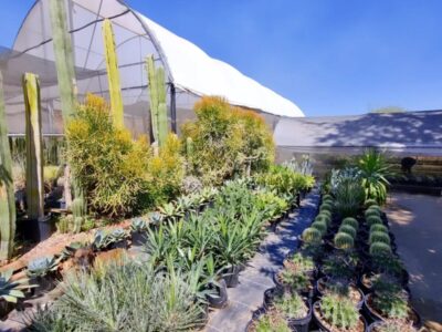 Vivero El Monte