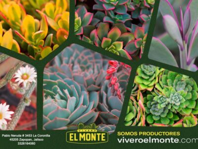 Vivero El Monte