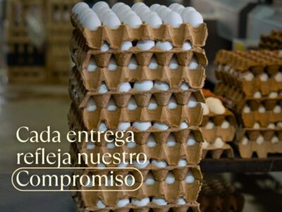 Avicampo