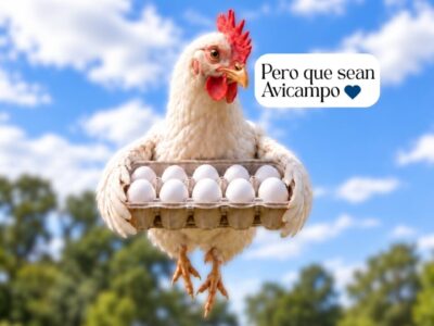 Avicampo