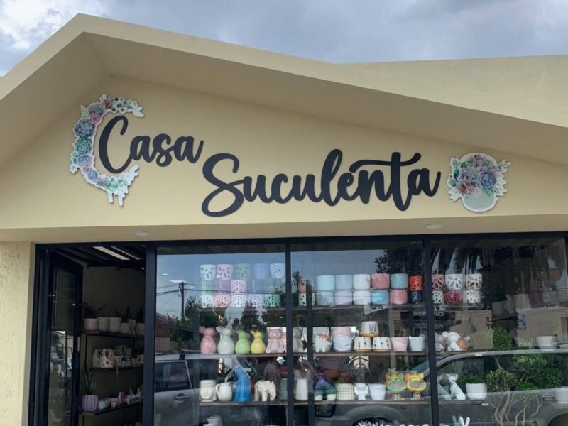 Casa Suculenta
