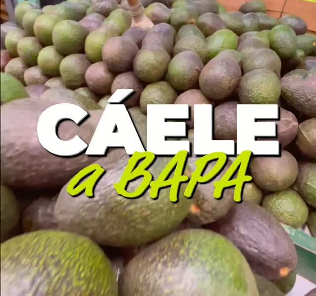 Grupo BAPA