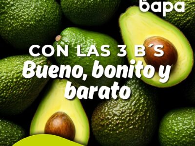 Grupo BAPA