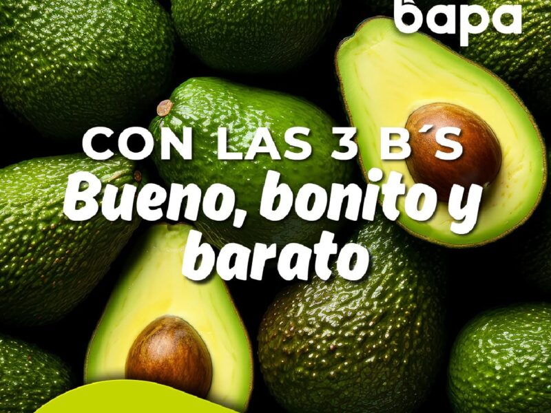 Grupo BAPA