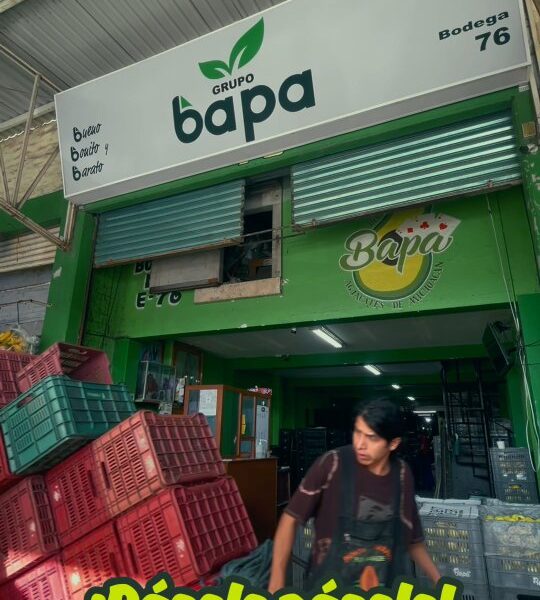 Grupo BAPA