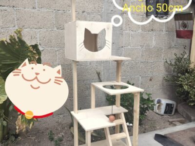 Tianguis de Muebles de San Mateo Atenco